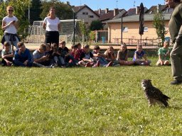 Ukázka výcviku dravců